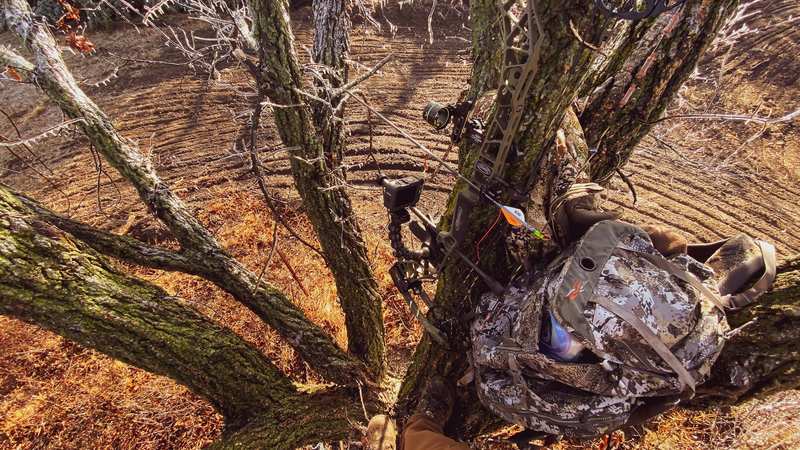 Bowhunter in elevated tree stand overhead view fall deer season