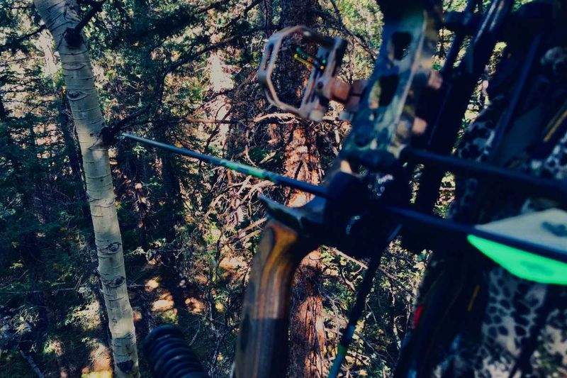 bowhunter with camo compound bow and containment arrow rest in forest hunting setting