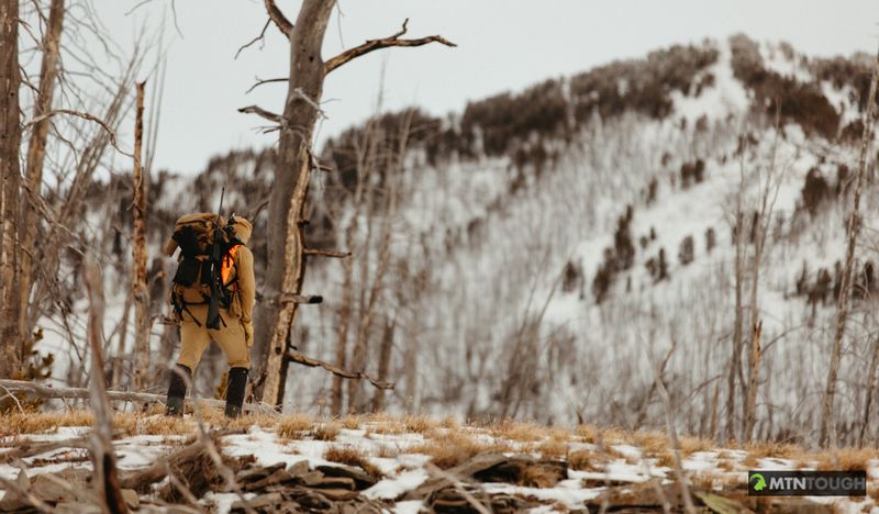 bowhunter in field with bow practicing ethical hunting and patient shot selection