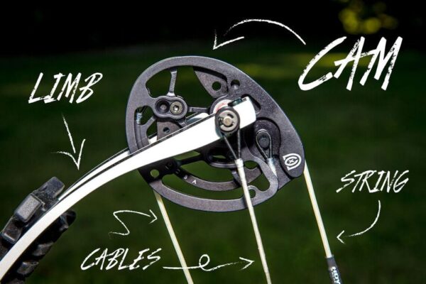 Compound bow cam system showing let-off mechanism that reduces holding draw weight