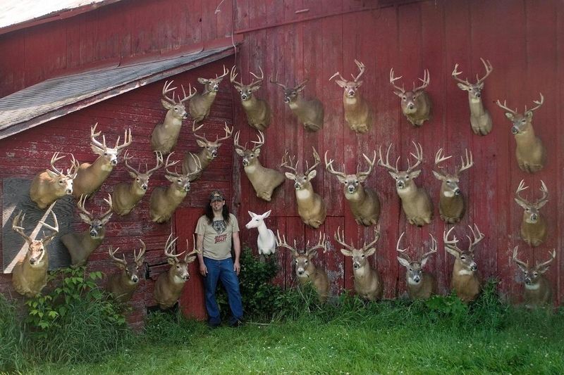 Bowhunter with compound bow during deer archery season