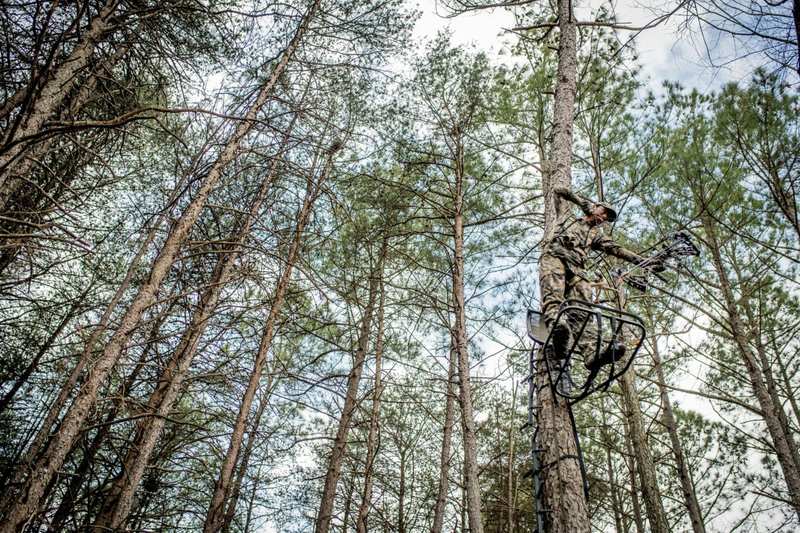 Hunter climbing a tree stand for bowhunting in pine forest