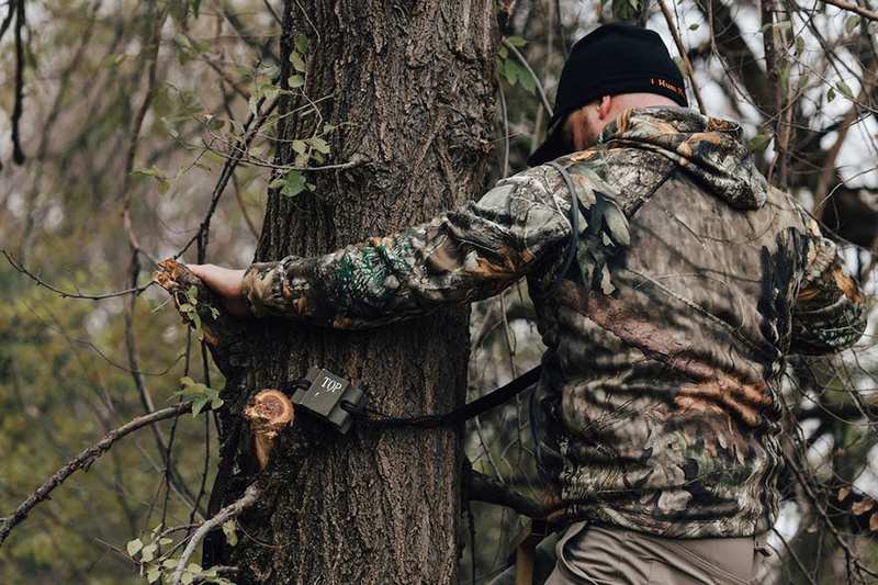 Hunter attaching tree stand safety straps to tree trunk