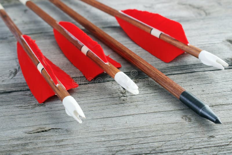 Wooden archery arrows with plastic nocks , steel points and natural feathers closeup. Nock stock images, royalty-free photos 