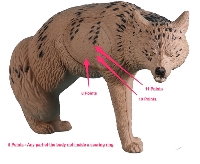 IBO 3D archery scoring diagram showing 11, 10, 8 and 5 point zones on foam animal target