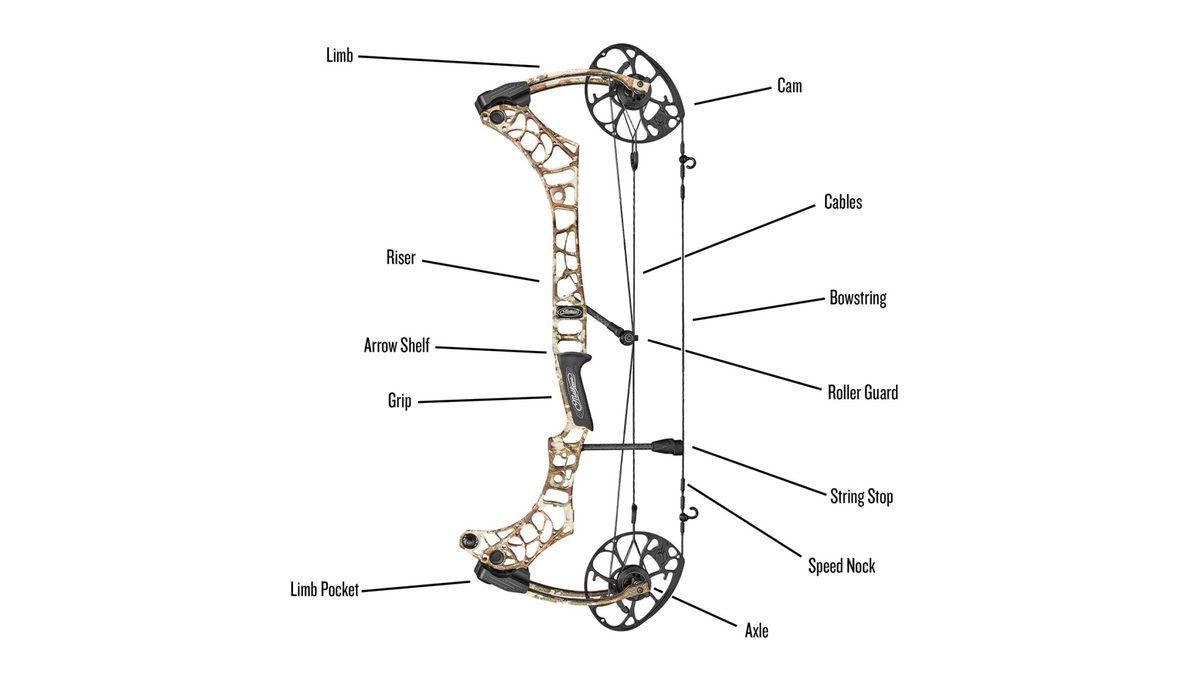 Parts of a compound bow labeled diagram showing riser, cams, limbs, and bowstring