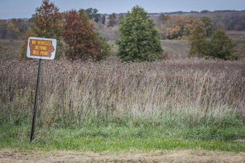 Deer hunter scouting public land terrain with bow