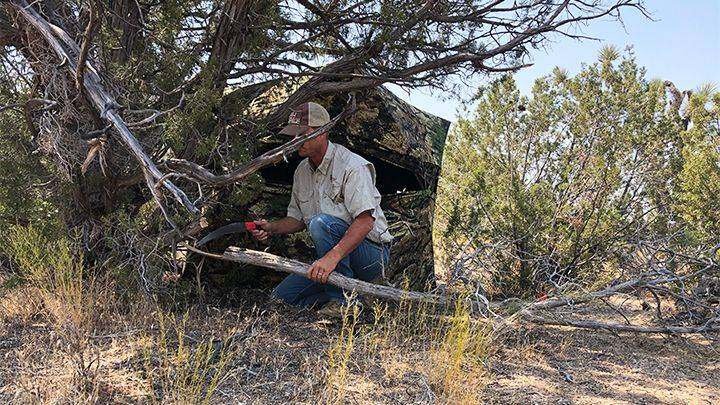 Hunter clearing shooting lanes in front of ground blind position for clear arrow path