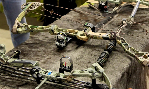 compound bow draw back