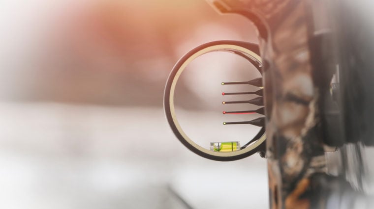 Beginner’s Compound Bowhunting Setup