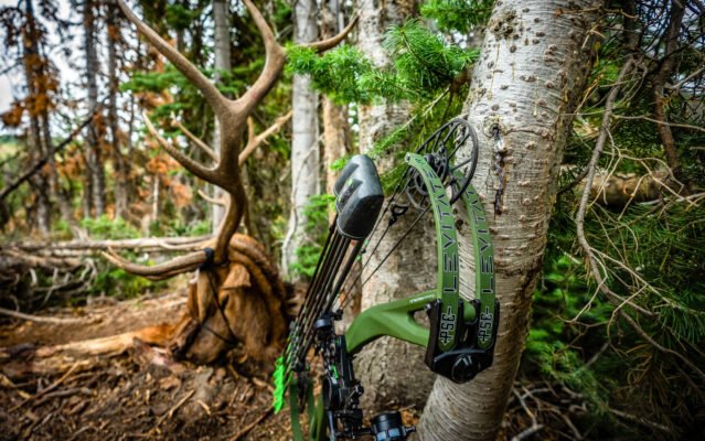compound bow leaning against tree with elk antlers in forest for broadhead hunting