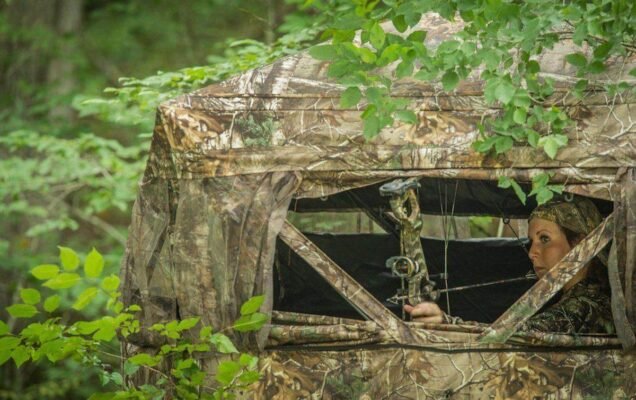 Deer approaching ground blind setup at field edge during bowhunting season