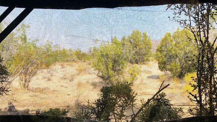 View from inside a ground blind looking through shooting window for bowhunting